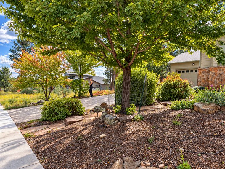 Mature maple over a mulched bed with flagstone steppers and shrubs