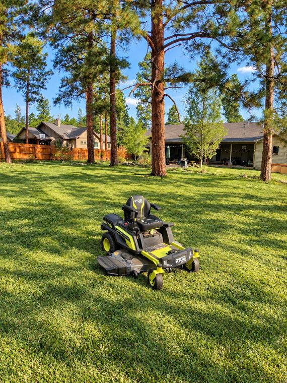 Freshly striped lawn under tall ponderosa pines with a zero turn mower