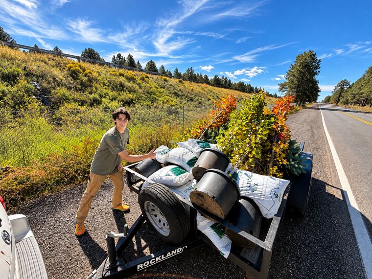 Trailer loaded with aspens, spruce and potting mix on a pine lined highway